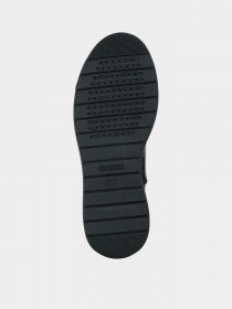 Ботинки Geox Phaolae модель D94FDA-04140-C9999 Фото