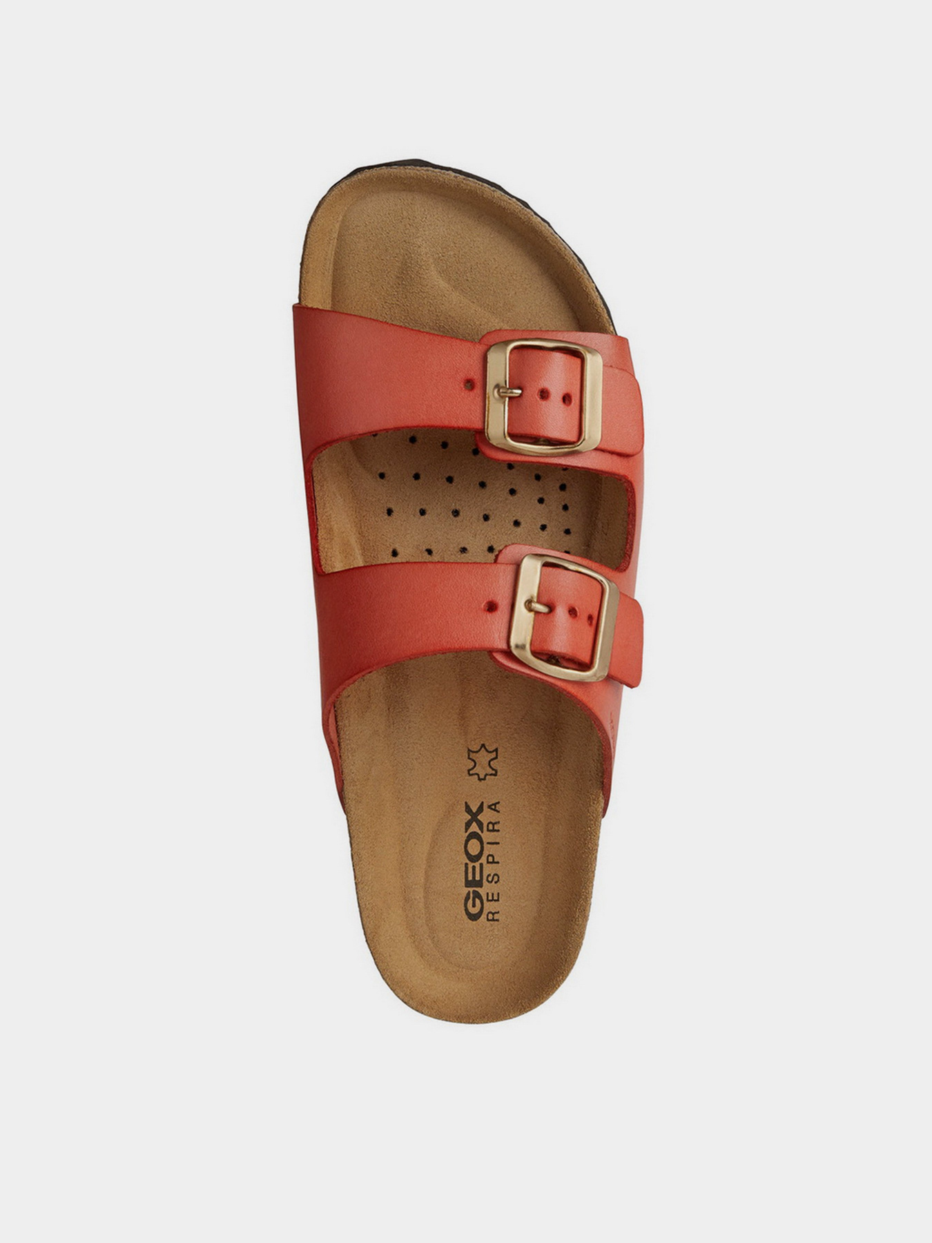 Шльопанці Geox Brionia модель D15LSA-00043-C6037 Фото