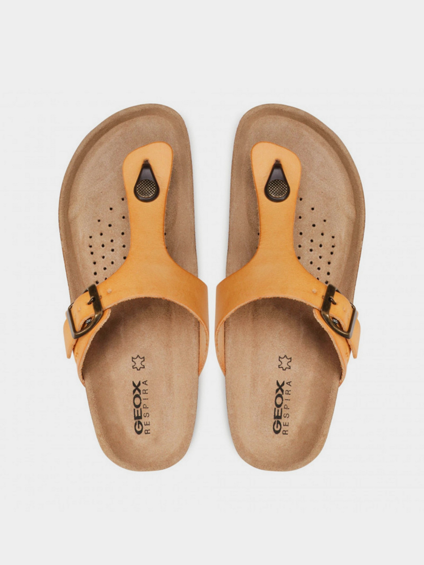 В'єтнамки Geox Brionia модель D15LSB-00043-C2006 Фото