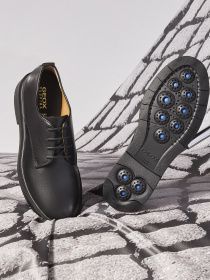 Броги Geox Spherica модель D16QRA-00043-C9999 Фото