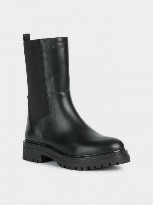 Сапоги Geox Iridea модель D26D0B-00043-C9999 Фото