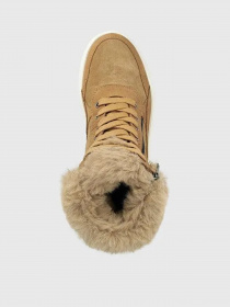 Ботинки Geox Dalyla Abx модель D26QSA-09A22-C6018 Фото