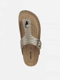 Вьетнамки Geox Brionia модель D35LSK-000Z0-C2012 Фото