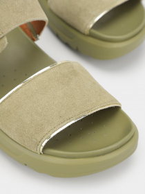 Шлепанцы Geox Xand 2.1S модель D35SZC-00022-C3012 Шлепанцы Geox Xand 2.1S модель D35SZC-00022-C3012 Фото