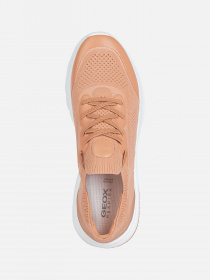 Кроссовки повседневные Geox Spherica Actif модель D35THA-06K7Z-C8024 Фото