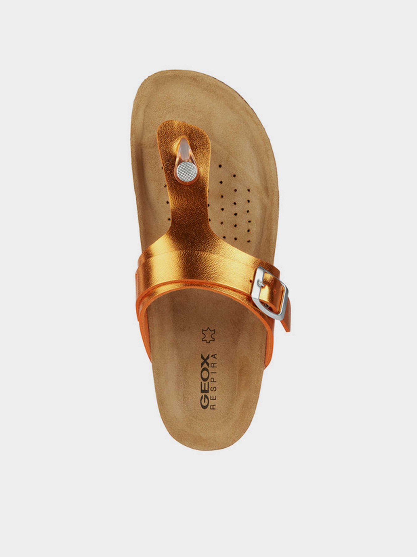 В'єтнамки Geox D Brionia модель D35LSK-000BN-C2008 Фото