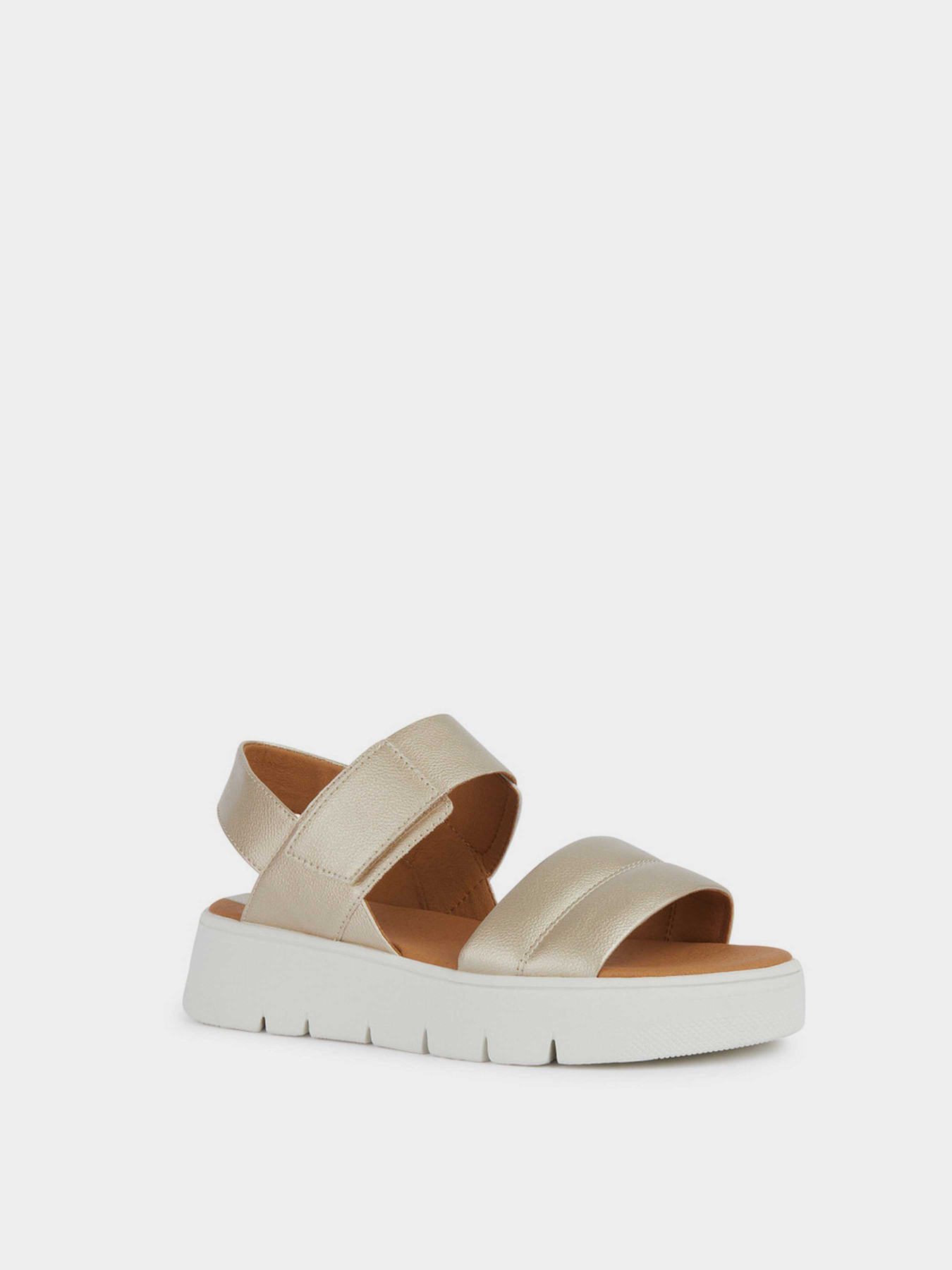 Сандалии Geox D Dandra 40 модель D45SCA-000NF-C2012 Сандалии Geox D Dandra 40 модель D45SCA-000NF-C2012 Фото