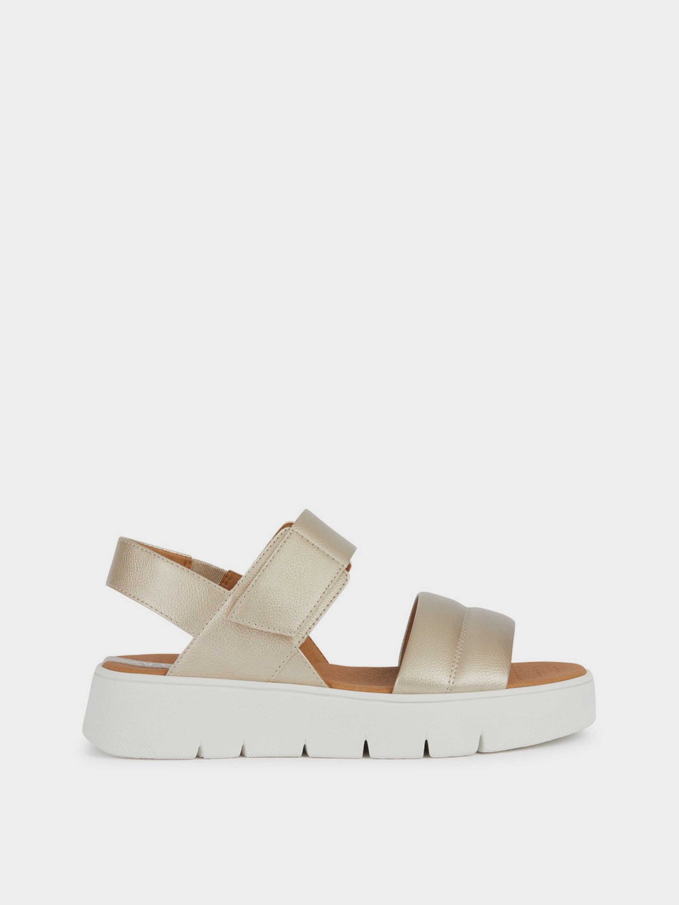 Сандалии Geox D Dandra 40 модель D45SCA-000NF-C2012 Сандалии Geox D Dandra 40 модель D45SCA-000NF-C2012 Фото