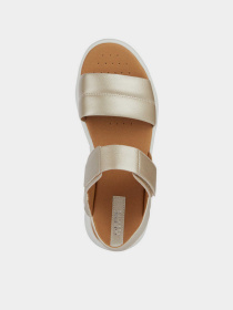 Сандалии Geox D Dandra 40 модель D45SCA-000NF-C2012 Сандалии Geox D Dandra 40 модель D45SCA-000NF-C2012 Фото