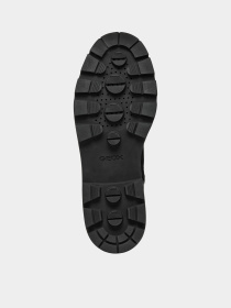 Ботинки Geox Felleny модель D46XEI-00043-C9999 Фото