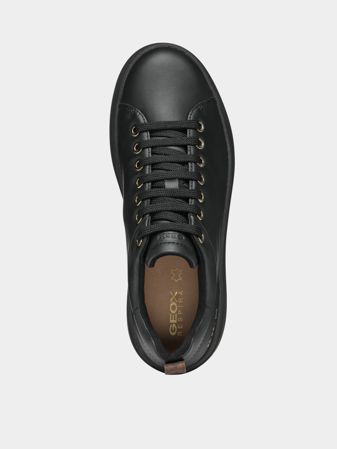 Кеды низкие Geox Spherica Ecub-2 модель D46WVA-00085-C9997 Фото