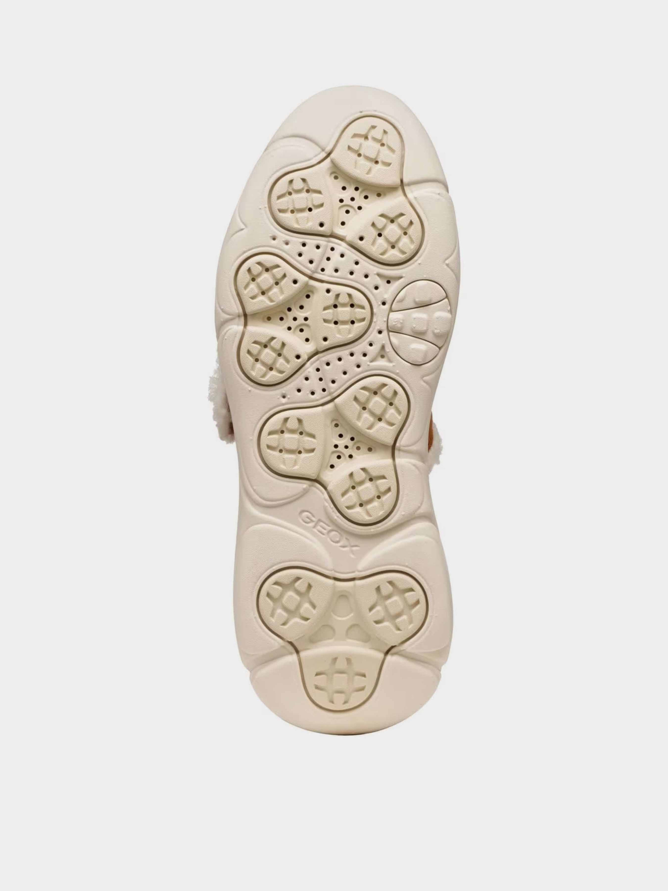 Кросівки повсякденні Geox NEBULA 2.0 модель D56NHD-022NF-C6001 Кросівки повсякденні Geox NEBULA 2.0 модель D56NHD-022NF-C6001 Фото