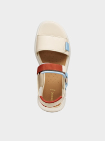 Geox модель D65BSC-05415-C1S0B Фото