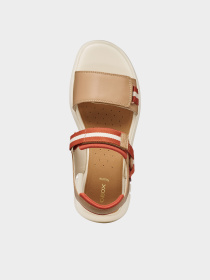 Geox модель D65BSC-05415-C5A6B Фото