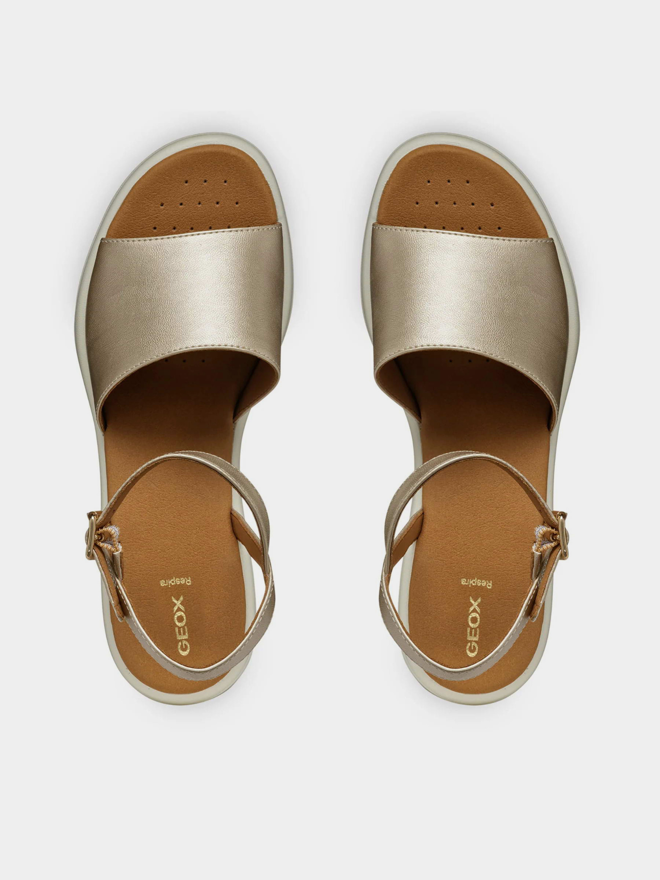 Geox D550EA-000NF-C2012 модель D550EA-000NF-C2012 Geox D550EA-000NF-C2012 модель D550EA-000NF-C2012 Фото