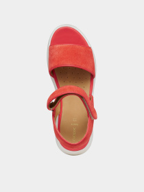 Сандалии Geox NEBULA 2.0 модель D65BPA-022BC-C7008 Фото