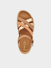 Geox модель D35PAB-043CF-C8391 Фото