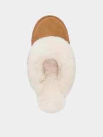 Капці EMU модель W10015-chestnut Фото