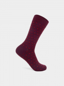 Набор носков ECCO Archives модель 908557791152 Фото