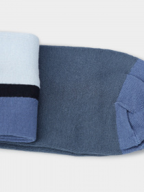 Шкарпетки ECCO Vibe Colour-Block модель 908556690202 Фото