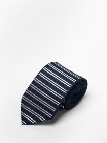 Галстук Zegna модель TI308196_Темно-синій Фото