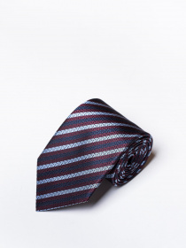 Галстук Zegna модель TI308522_Бордовий Фото