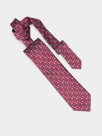 Галстук Zegna модель TI310710_Червоний Фото