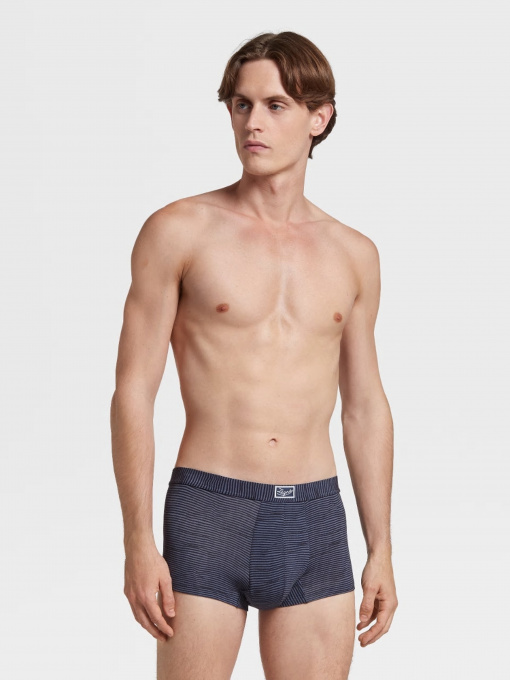 Труси Zegna модель UN312922_Синій Фото