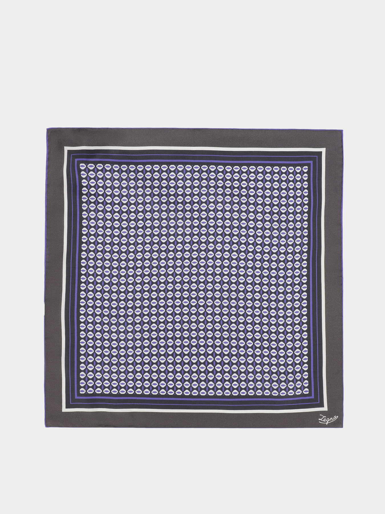 Хустка Zegna модель AC309307_Принт Фото