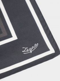 Хустка Zegna модель AC309308_Чорний Фото