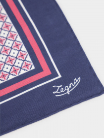 Хустка Zegna модель AC310335_Рожевий Фото