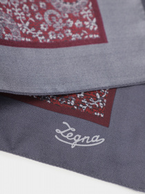 Хустка Zegna модель AC311455_Темно-коричневий Фото