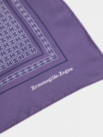 Платок Zegna модель AC5450_0 Фото