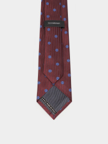 Галстук Zegna модель TI11417_Синій Фото