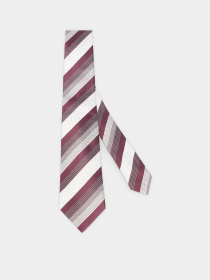 Галстук Zegna модель TI1311_0 Фото