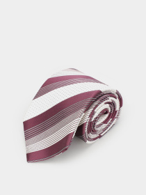 Галстук Zegna модель TI1311_0 Фото