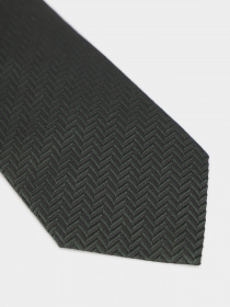 Галстук Zegna модель TI307001_Зелений Фото