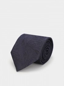 Галстук Zegna модель TI313560_Синій Фото