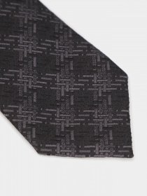 Галстук Zegna модель TI313573_Чорний Фото