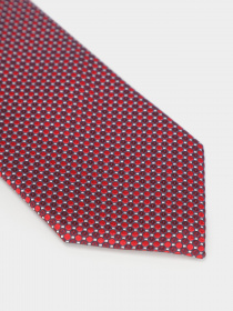 Галстук Zegna модель TI313906_Червоний Фото