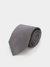 Галстук Zegna модель TI313918_Сірий Фото