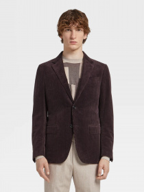 Пиджак Zegna модель JC315134_Коричневий Фото