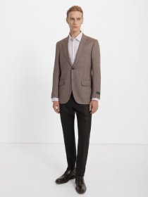 Классические штаны Zegna модель TR313453_Коричневий Фото
