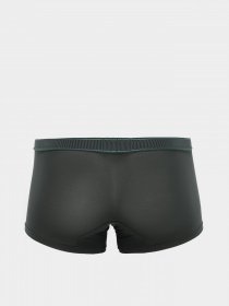 Трусы Zegna модель UN310160_Сірий Фото