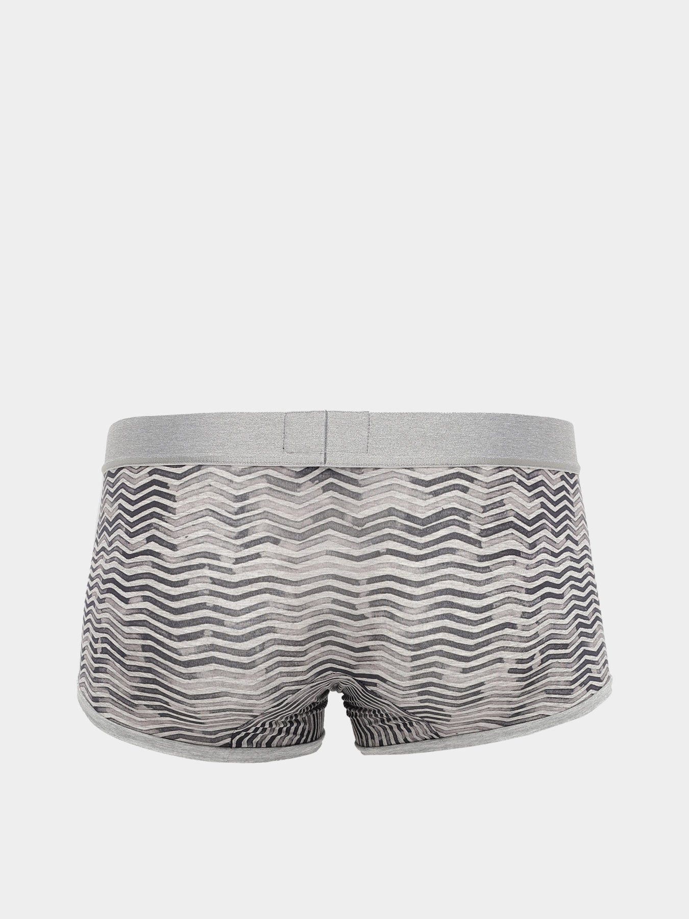 Трусы Zegna модель UN310165_Сірий Фото