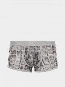 Трусы Zegna модель UN310165_Сірий Фото