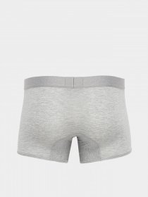 Трусы Zegna модель UN311078_Сірий меланж Фото