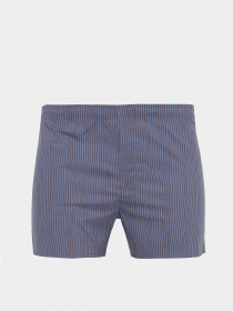 Трусы Zegna модель UN312924_Синій Фото