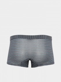 Трусы Zegna модель UN313627_0 Фото