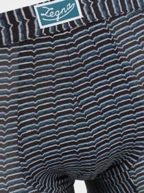 Трусы Zegna модель UN313627_0 Фото